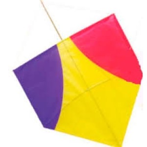 Pipa gigante 2pct c/25pçs  66x46 real seda 0462