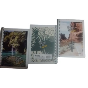 Caderno espiral 1/4 c/1 pç 96fls nova